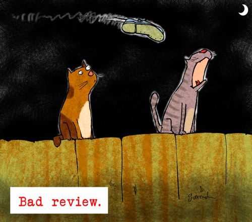 Bad review