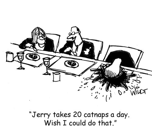 "Jerry takes 20 catnaps a day. Wish I could do that."