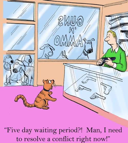 'Five day waiting period? Man, I need to resolve a conflict right now.'