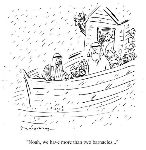 'Noah, we have more than two barnacles...'