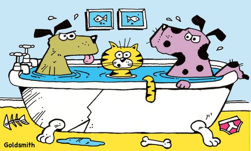 The wrong bath.