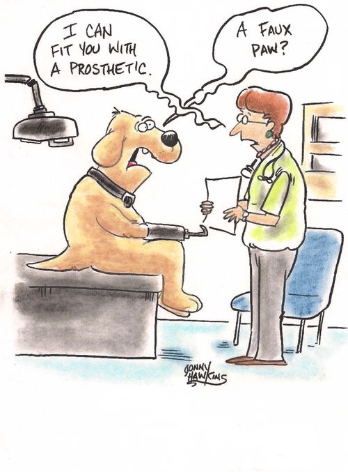 Lady Doctor: 'I can fit you with a prosthetic.' Dog: 'A faux paw?'