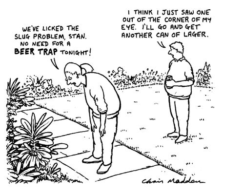 "We've licked the slug problem,Stan.No need for a beer trap tonight."