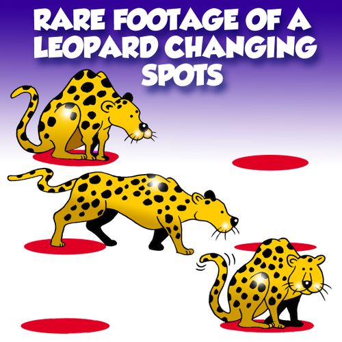Rare footage of a leopard changing spots. 