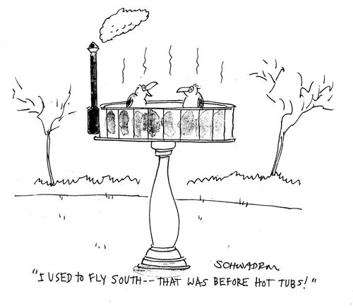 'I used to fly south - that was before hot tubs!'