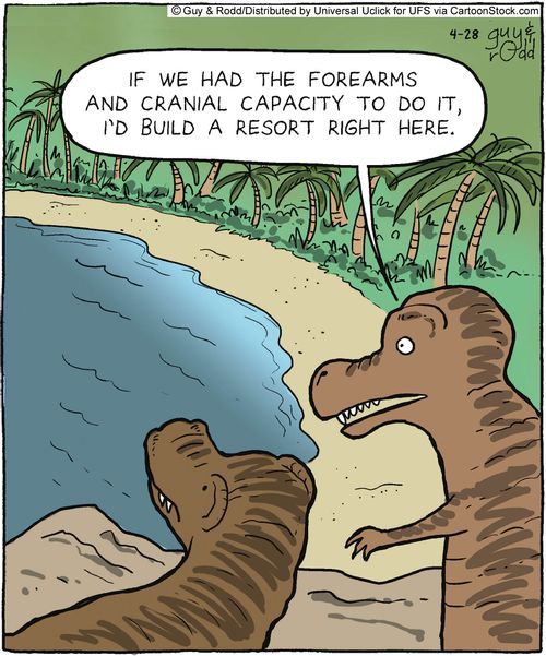 'If we had forearms and the cranial capacity to do it, I'd build a resort right here.'