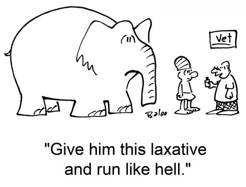 'Give him this laxative and run like hell.'