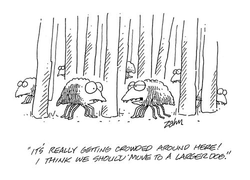 'It's really getting crowded around here!  I think we should move to a larger dog.'