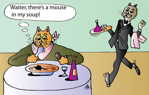 'Waiter there's a mouse in my soup.'