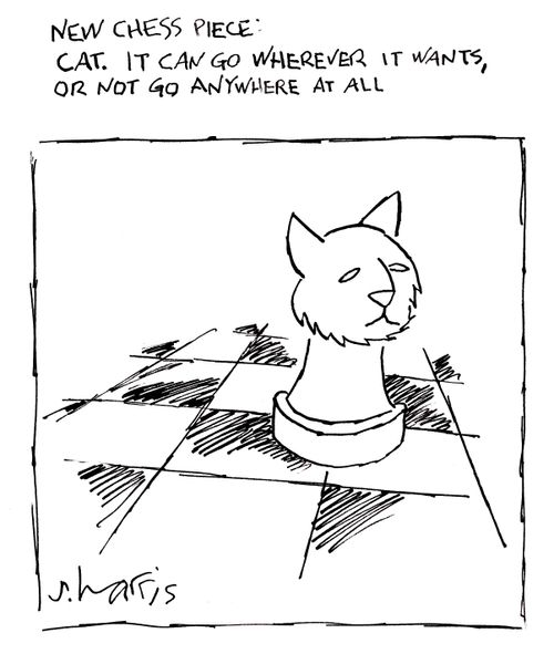 New chess piece: Cat - It can go wherever it wants, or not go anywhere at all.