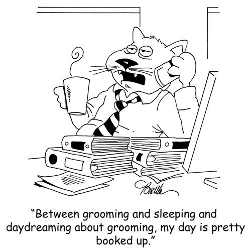 "Between grooming and sleeping and daydreaming about grooming, my day is pretty booked up."