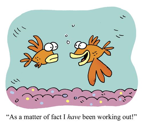 Fish Workout