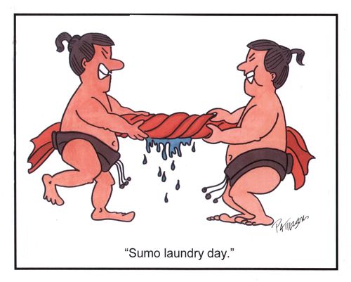 Sumo Laundry Day
