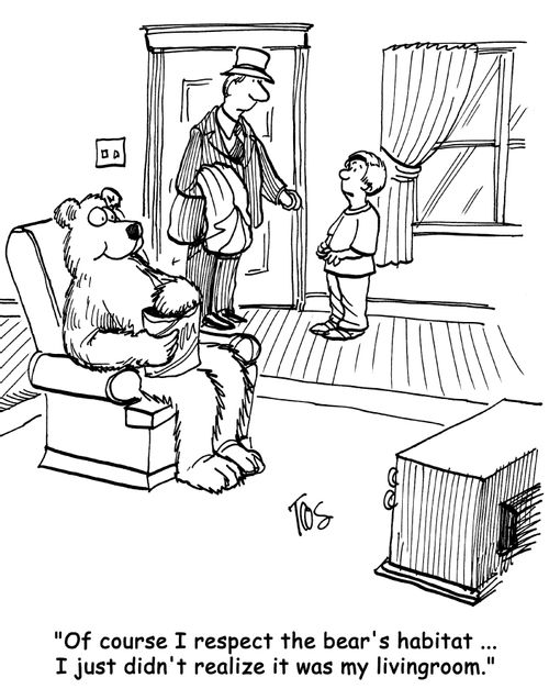 'Of course I respect the bear's habitat ...I just didn't realize it was my livingroom.'