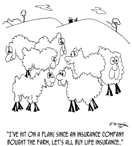 'I've hit on a plan! Since an insurance company bought the farm, let's all buy life insurance.'