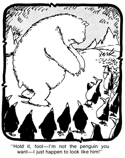 'Hold it, fool - I'm not the penguin you want - I just happen to look like him!'