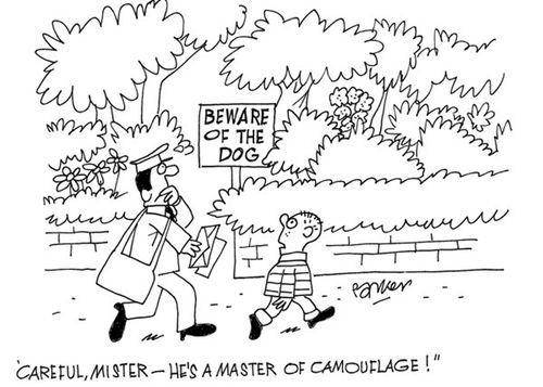 'Careful,mister-he's a master of camouflage!'