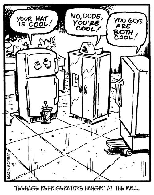 Teenage refrigerators hangin' at the mall. 'Your hat is cool.' 'No, dude,you're cool!' 'You guys are both cool!'