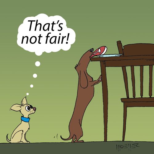 "That's not fair!"