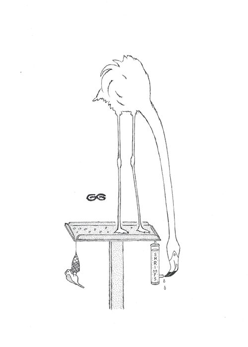Flamingo on a bird table feeding from a shrimp container.