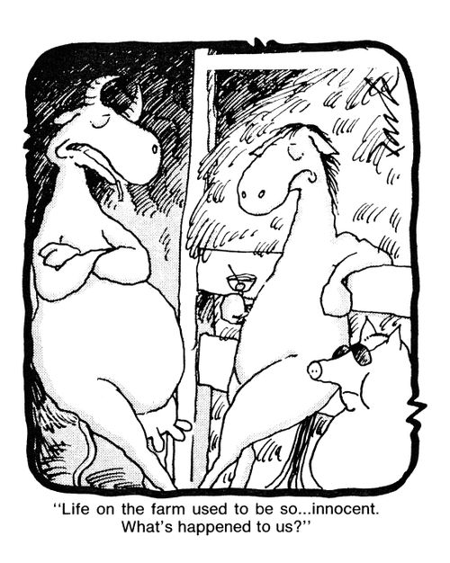'Life on the farm used to be so... innocent. What's happened to us?'