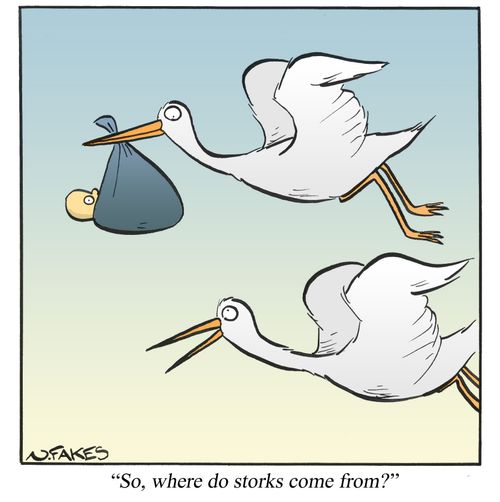'So, where do storks come from?'