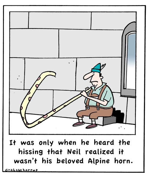 It was only when he heard the hissing that Neil realized it wasn't his beloved Alpine horn.