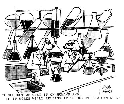 'I suggest we test it on humans and if it works we'll release it to our fellow canines.'
