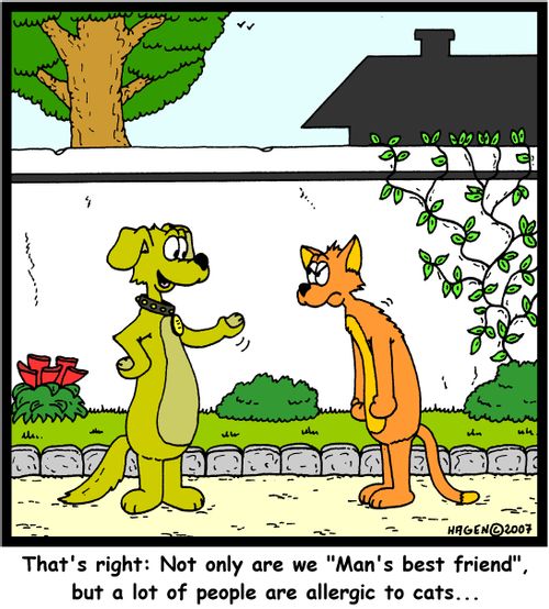 That's right: Not only are we 'Man's best friend', but a lot of people are allergic to cats...