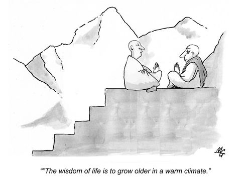 'The wisdom of life is to grow older in a warm climate.'