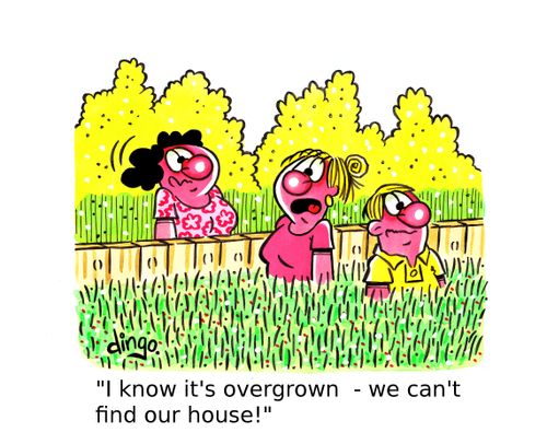'I know it's overgrown - we can't find our house!'