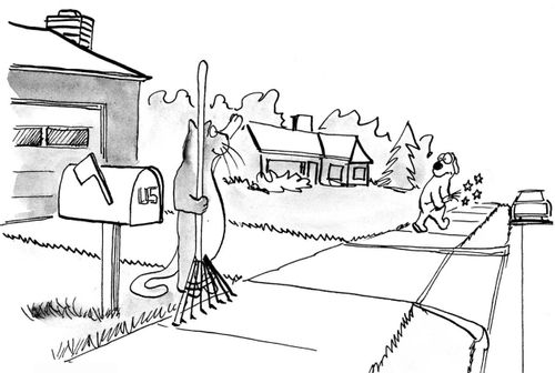 The cat hits a dog with a rake.