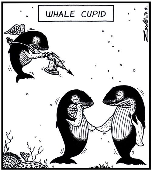 Whale Cupid: The Whale world's version of Cupid using a high-powered Harpoon as a Bow and arrow.