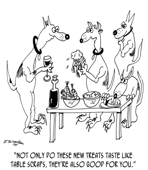 "Not only do these new treats taste like table scraps, they're also good for you."