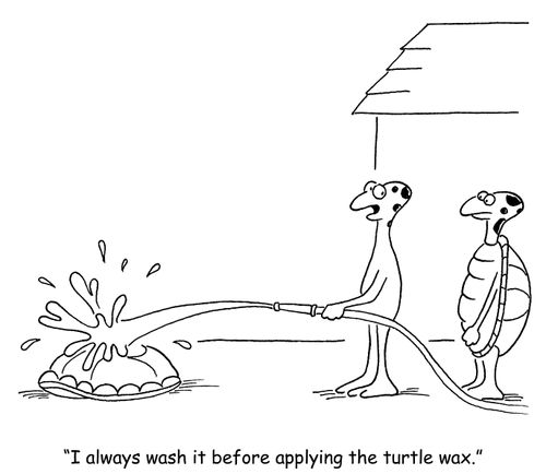 'I always wash it before applying the turtle wax.'
