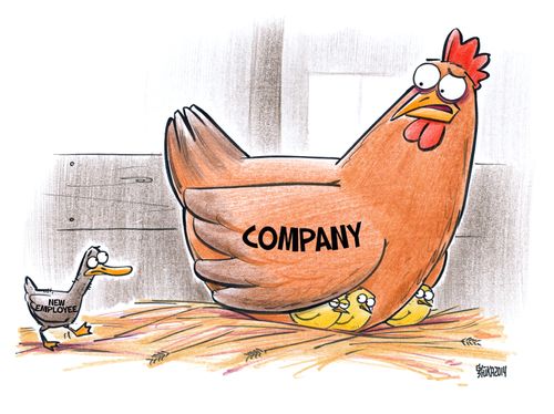 New employee