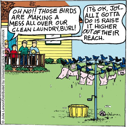 'Oh no!! Those birds are making a mess all over our clean laundry, Burl!'