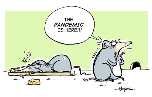 'The pandemic is here!!!'