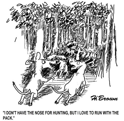 'I don't have the nose for hunting, but I love to run with the pack.'