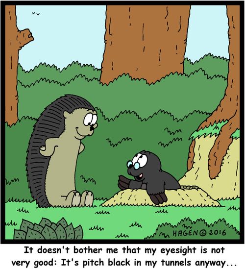 "It doesn't bother me that my eyesight is not very good: It's pitch black in my tunnels anyway..."