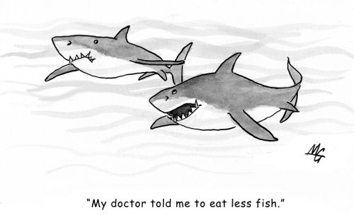 'My doctor told me to eat less fish.'