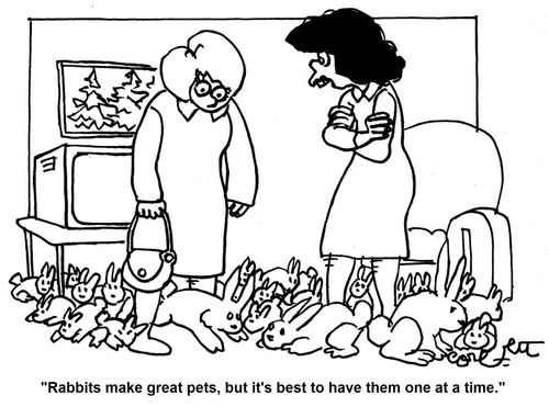 'Rabbits make great pets, but it's best to have them one at a time.'