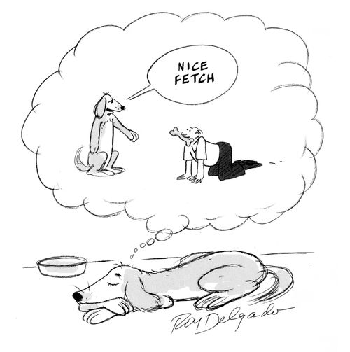 'Nice fetch.'