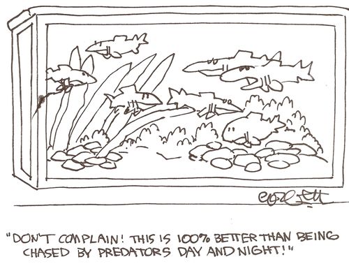 'Don't complain!  This is 100% better than being chased by predators say and night!'