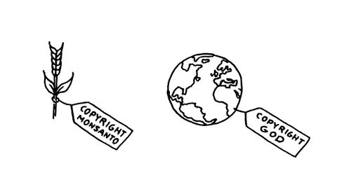 Genetically modified food