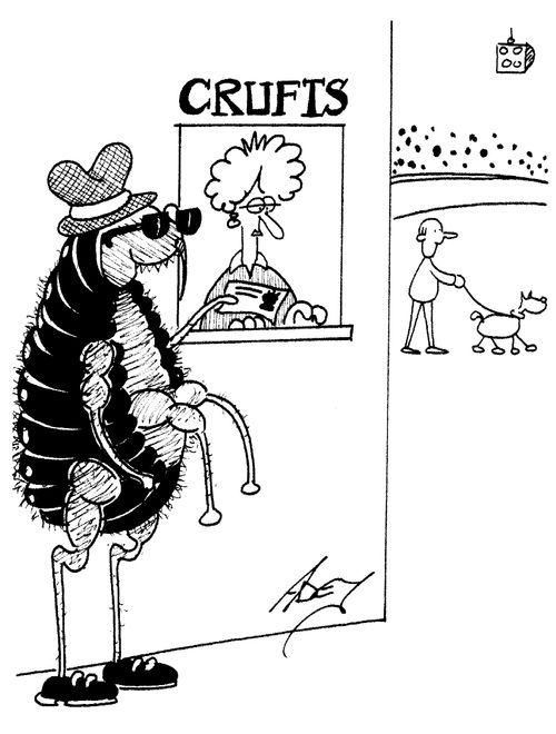 Giant flea buying an entry ticket to crufts