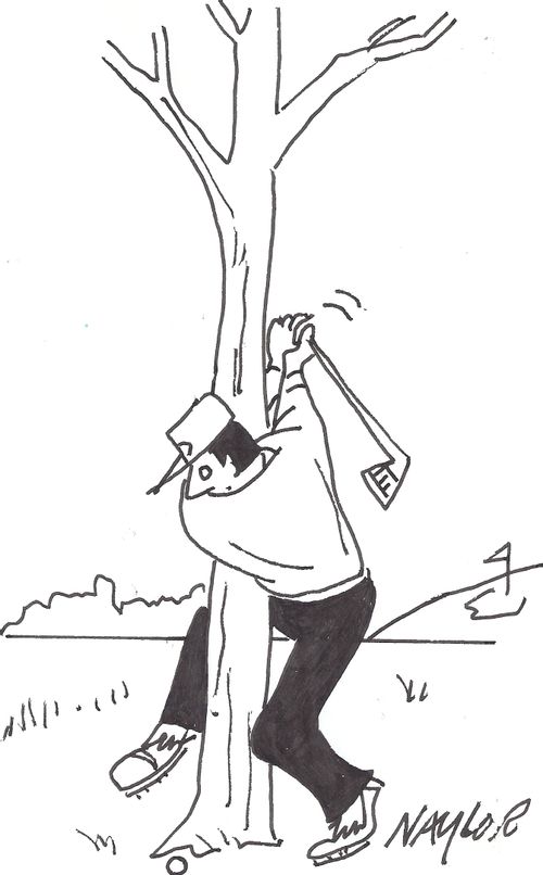 Frustrated Golfer