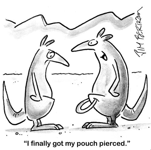'I finally got my pouch pierced.'