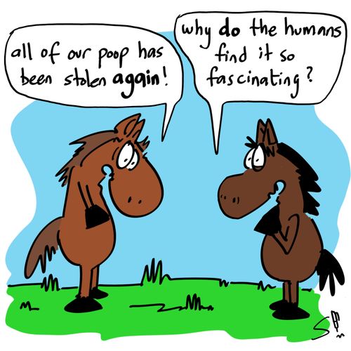 'All of our poop has been stolen again!'