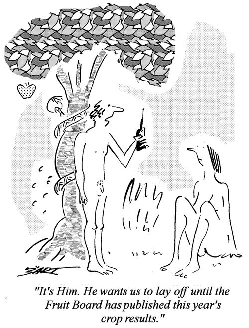 "It's Him. he wants us to lay off until the Fruit Board has published this year's crop results."